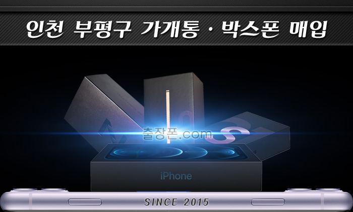 부평 가개통폰, 박스폰