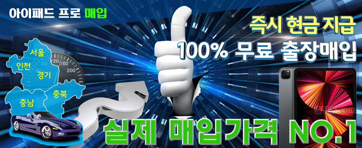 아이패드 프로 매입